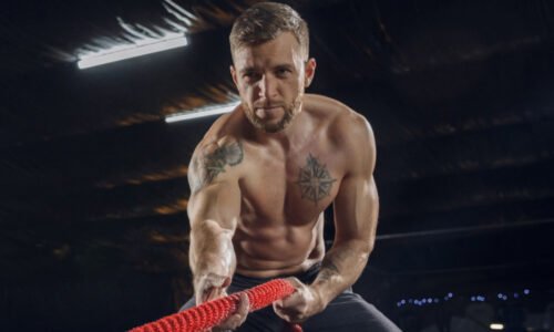 الصورة المصغرة للدورة