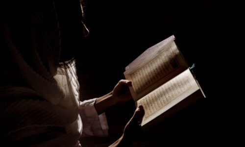 الصورة المصغرة للدورة