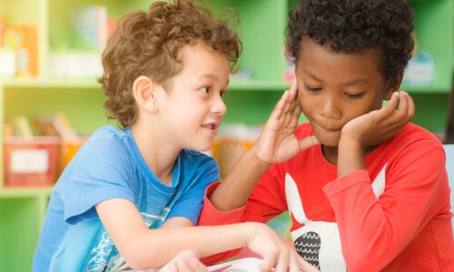 الصورة المصغرة للدورة